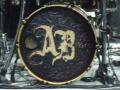 20101112_Alter_Bridge_13.JPG